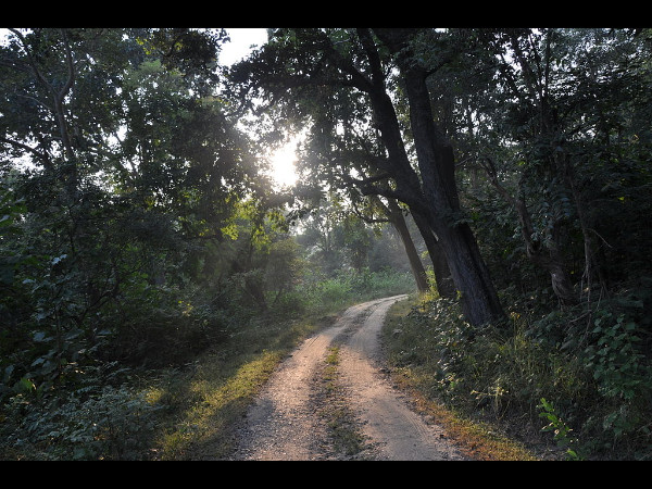 ஜிம் கார்பெட் காட்டு சவாரி