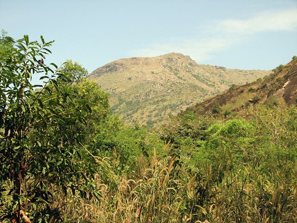 உதயகிரிக் கோட்டை உதயகிரிக் கோட்டை