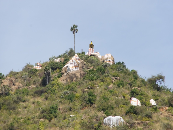 ஜீவ வித்துக்கள்