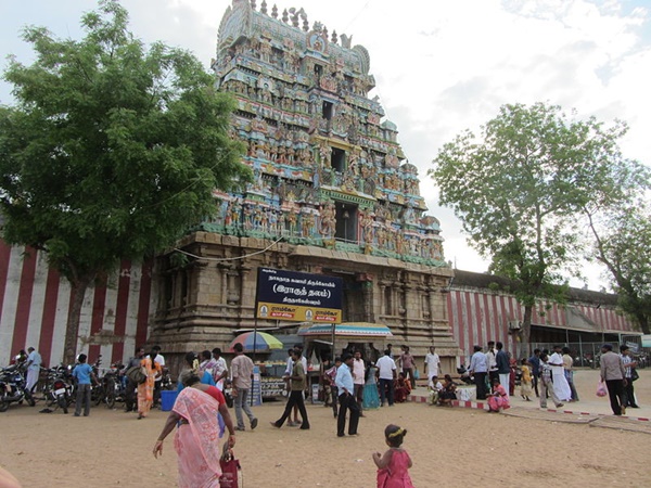 சட்டையை கழற்றி ராகுவுக்கு மாலையாக போட்ட ஐந்தரையடி பாம்பு..எங்கே தெரியுமா? சட்டையை கழற்றி ராகுவுக்கு மாலையாக போட்ட ஐந்தரையடி பாம்பு..எங்கே தெரியுமா?