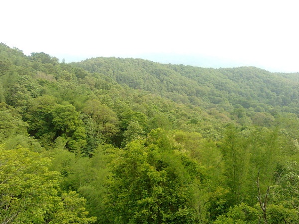 கேரளாவின் பரம்பிக்குளம் சரணாலயம் 