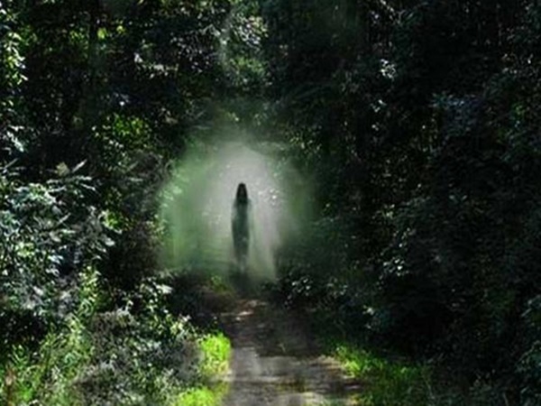 சஞ்சய் வான் – புது தில்லி