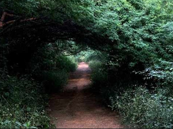 தலைநகர பேய்