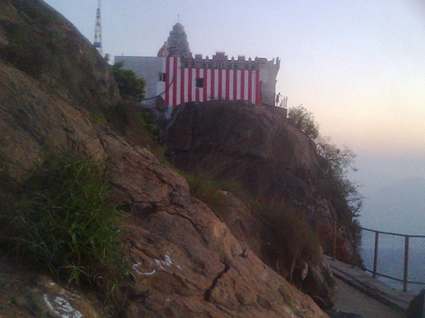 மூலிகைகள்