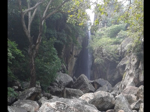 தேனருவி