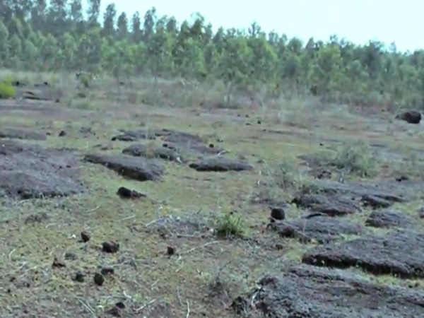 உலகப்புகழ் உங்களுக்கு தெரியுமா