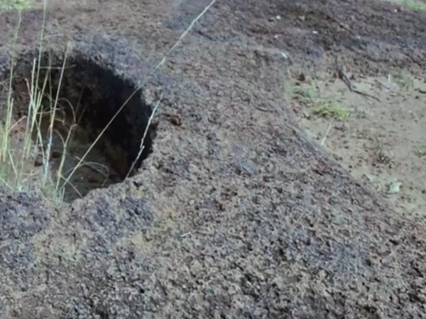 உலகின் முதல் விஞ்ஞானி