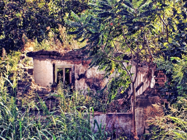 அரண்மனை வீடுகள் அரண்மனை வீடுகள்