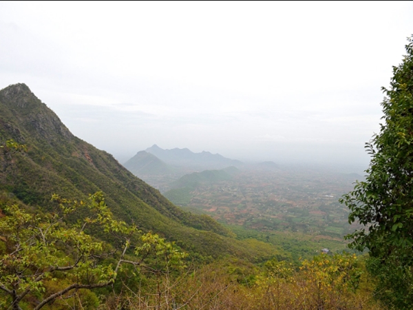 மர்மங்களைக் கொண்ட குள்ளர்கள்