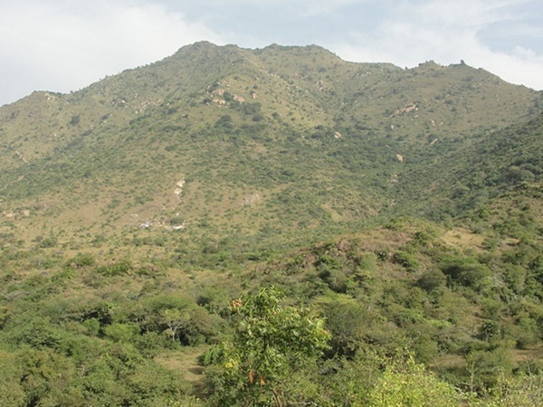 சாகா வரம்தரும் மூலிகைகள்