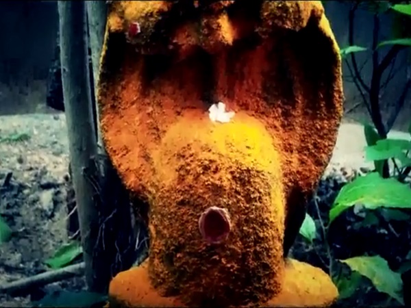 குழந்தை வரம்