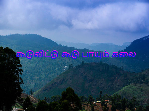 கூடுவிட்டு கூடு பாயும் கலை கூடுவிட்டு கூடு பாயும் கலை