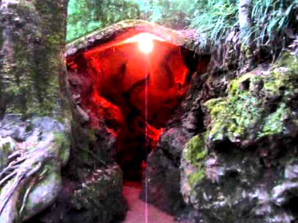 கார்பேட் தேசிய பூங்கா