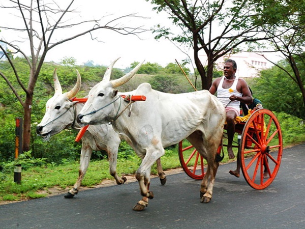 தமிழகம்