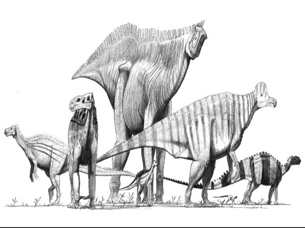  ஏழு டைனோசர்கள் வாழ்ந்த பூமி இது