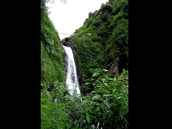 இயற்கையின் கொடை இயற்கையின் கொடை