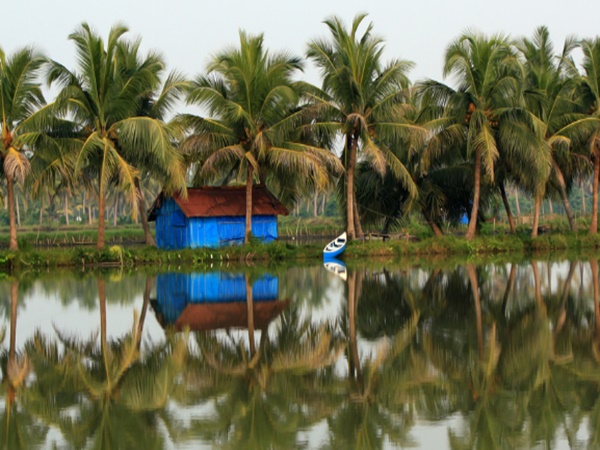 நீரின் நடுவில் வாழ்க்கை நீரின் நடுவில் வாழ்க்கை