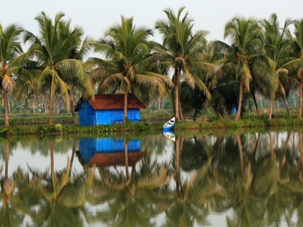 நீரின் நடுவில் வாழ்க்கை