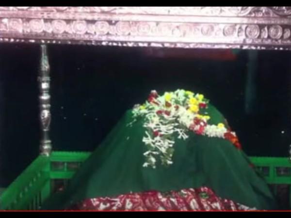 பேருந்துகள்