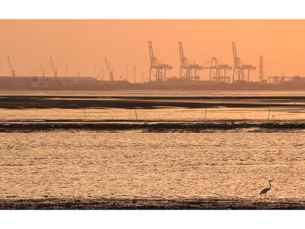 இடம் டுமாஸ் கடற்கரை நாள் 1