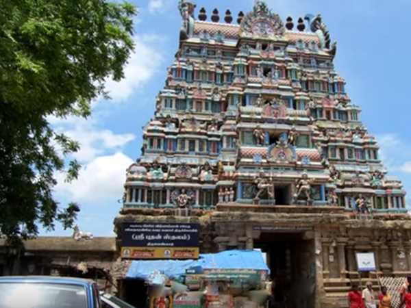 ஆராய்ச்சியில் தெரிய வந்த உண்மைகள் என்ன?