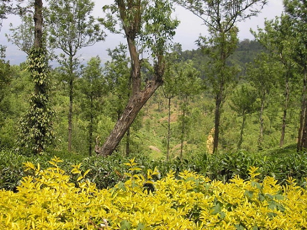 எப்படி செல்லலாம்