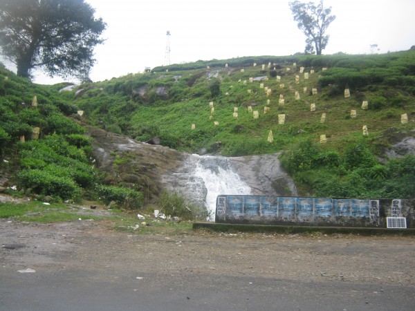 வாகமன் எப்படி செல்வது