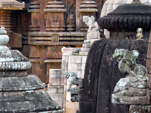 மற்றவர்களுக்கும் வழி இருக்கு!