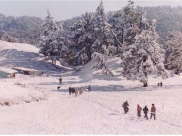 மார்க்கின் இந்திய வருகை