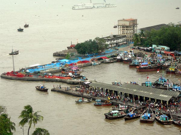 இந்தியாவில் மிகப் பெரிய மீன் மார்க்கெட் எங்கிருக்கு? எப்படி இருக்கும? அவங்க பழக்க வழக்கம்? தெரிஞ்சுக இந்தியாவில் மிகப் பெரிய மீன் மார்க்கெட் எங்கிருக்கு? எப்படி இருக்கும? அவங்க பழக்க வழக்கம்? தெரிஞ்சுக