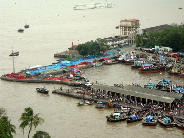 இந்தியாவில் மிகப் பெரிய மீன் மார்க்கெட் எங்கிருக்கு? எப்படி இருக்கும? அவங்க பழக்க வழக்கம்? தெரிஞ்சுக