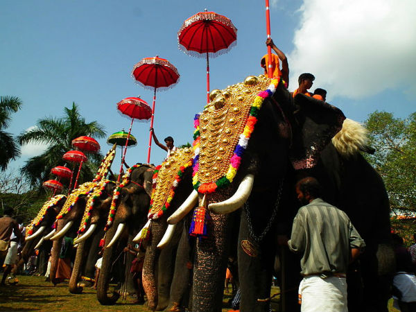 திரிசூர் பூரம் திருவிழா பற்றி உங்களுக்கு தெரியாத பல உண்மைகள்: திரிசூர் பூரம் திருவிழா பற்றி உங்களுக்கு தெரியாத பல உண்மைகள்:
