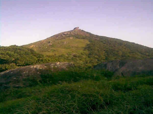 ஏழுமலைகளைக் கடந்து சாமி தரிசனம்