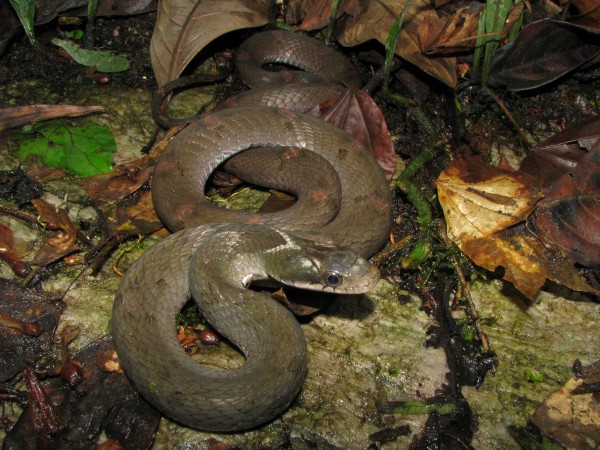 கண்கவரும் அருணாச்சல பிரதேசம்