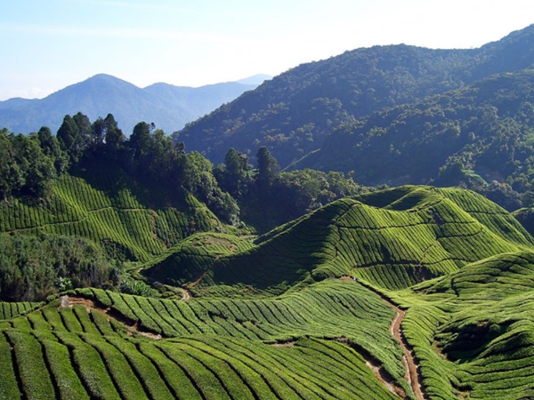 கேரளாவுக்கு ஒரு கேர்புல் விசிட்