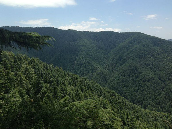  நார்கண்டா: