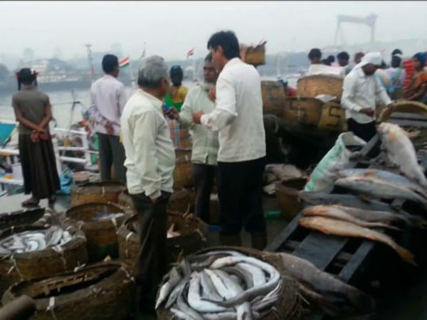 இந்தியாவில் மிகப் பெரிய மீன் மார்க்கெட் எங்கிருக்கு? எப்படி இருக்கும? அவங்க பழக்க வழக்கம்? தெரிஞ்சுக்கனுமா? இதப் படிங்க!!