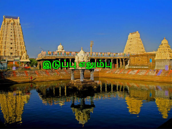 இடுப்பு எலும்பு 