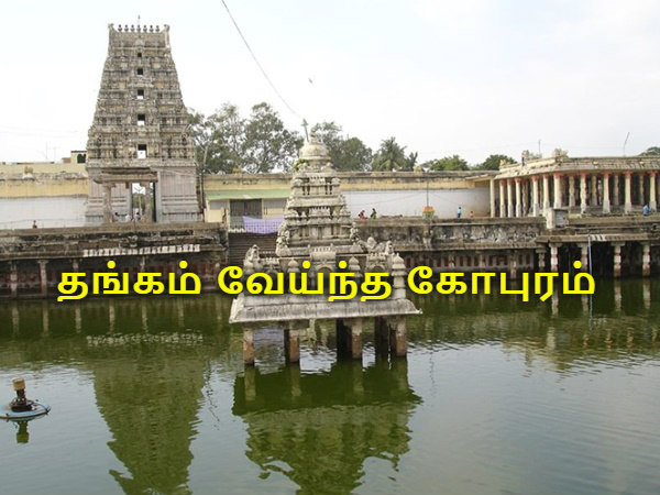 தங்கம் வேய்ந்த கோபுரம்