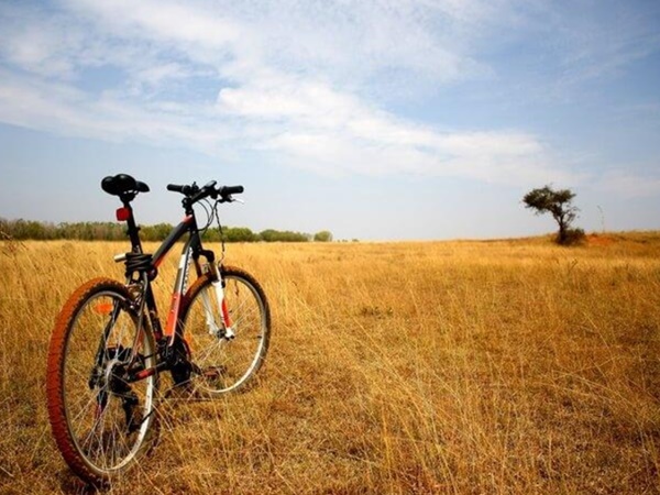 ஹேசரகட்டா புல்வெளிகள்