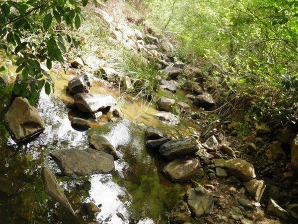 பியர்ள் வேலி