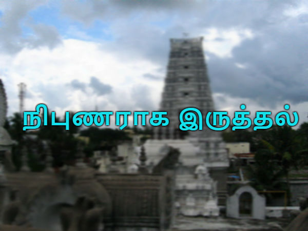 நிபுணராக இருத்தல் வேண்டும்