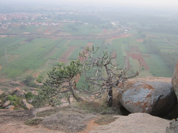 இந்த குண்டே பெட்டாவுக்கு எப்படி செல்வது?