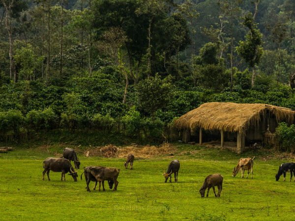  இந்த சரணாலயத்திற்கு போயிருக்கீங்களா? மிஸ் பண்ணக் கூடாத இடங்களில் ஒன்று
