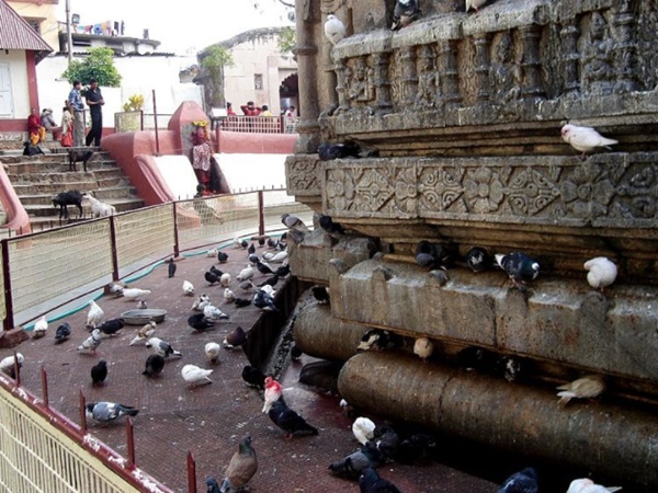 மாதவிடாய் வரும் கடவுள்