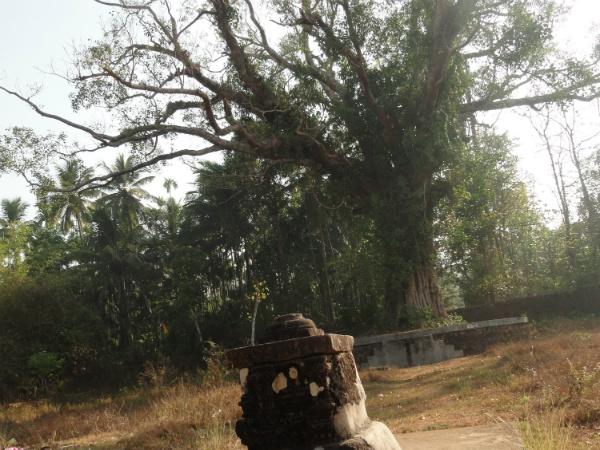 வேறு தெய்வங்கள்