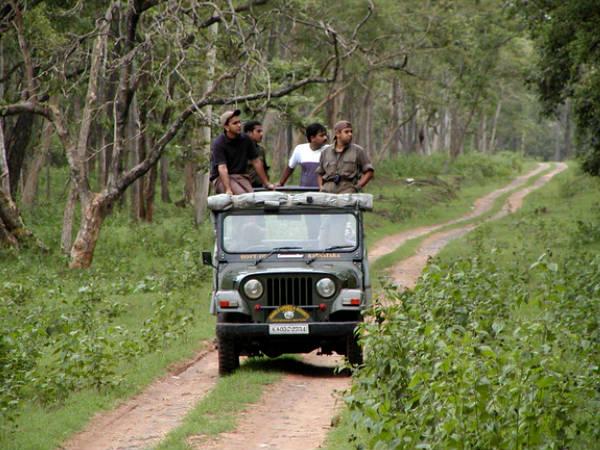  முதுமலை உங்களை வரவேற்கிறது