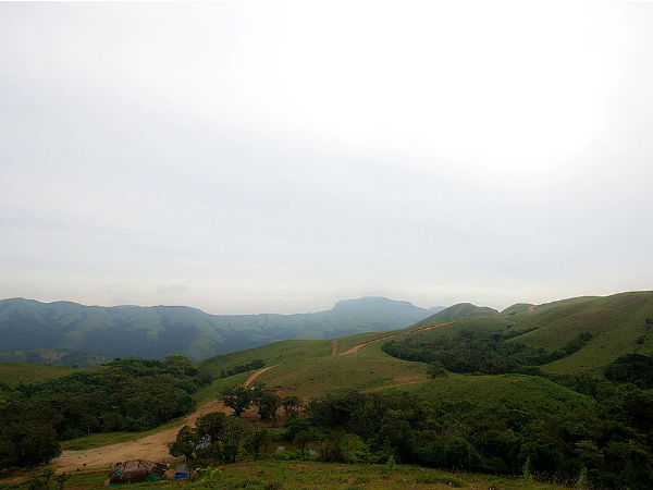  இந்த சரணாலயத்திற்கு போயிருக்கீங்களா? மிஸ் பண்ணக் கூடாத இடங்களில் ஒன்று