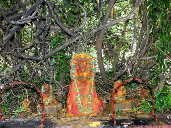  இரண்டு சகோதரர்கள் :