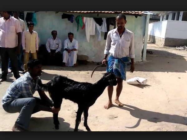  500 வருடங்களாக 